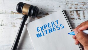 professional expert witness