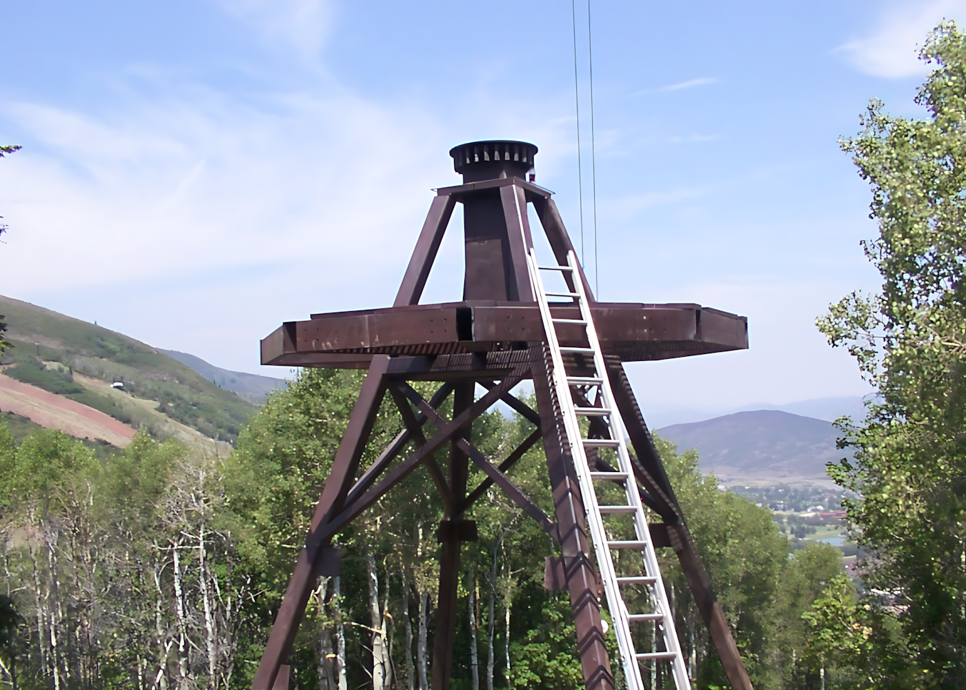 zipline tower with ladder against it